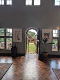 Unforgettable Stay at Giraffe Manor