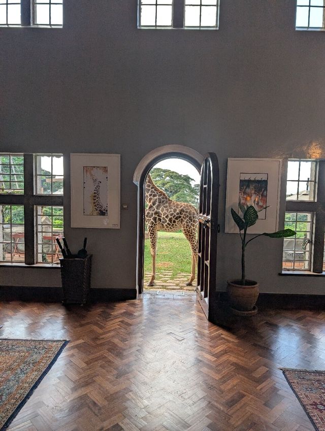 Unforgettable Stay at Giraffe Manor