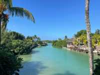 Paradise Cove Delivers Again