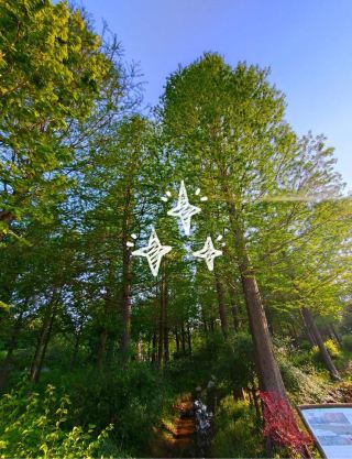Laiyang Senbei Campground | Huge Botanical Garden + Parent-Child Study, New Weekend Spot for Kids Outing