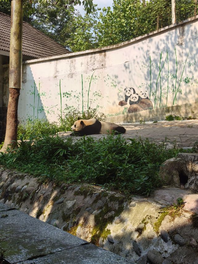青衣江畔的慢時光，治癒了我的城市焦慮