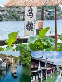 烏鎮48小時漫遊指南去了三次之後才掌握正確玩法