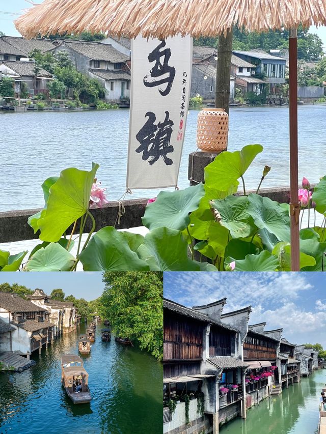 烏鎮48小時漫遊指南去了三次之後才掌握正確玩法