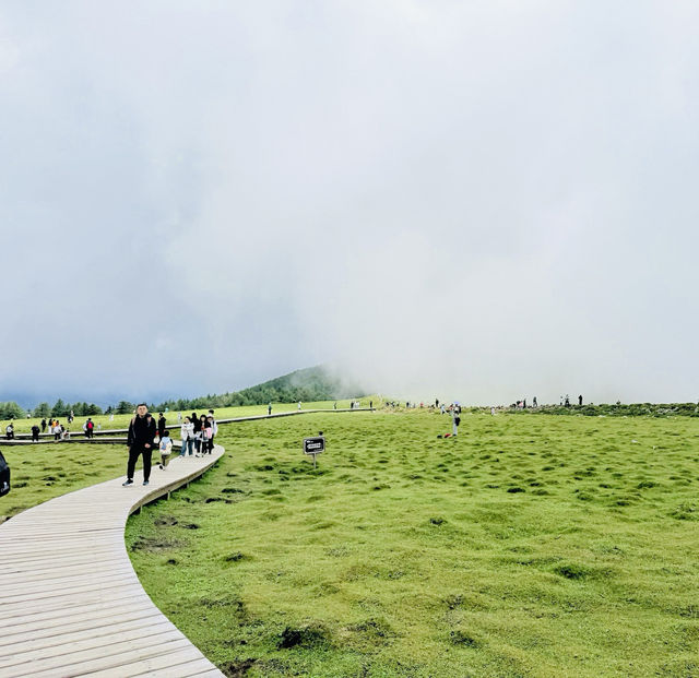 華北高山草甸秘境遊
