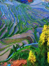 貴州秘境｜加榜梯田2025最新旅行攻略比龍脊更早金黃！