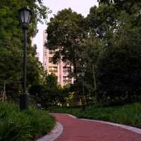 Taipingqiao Park, Shanghai 🌿🏞️ — A Green Escape in the City