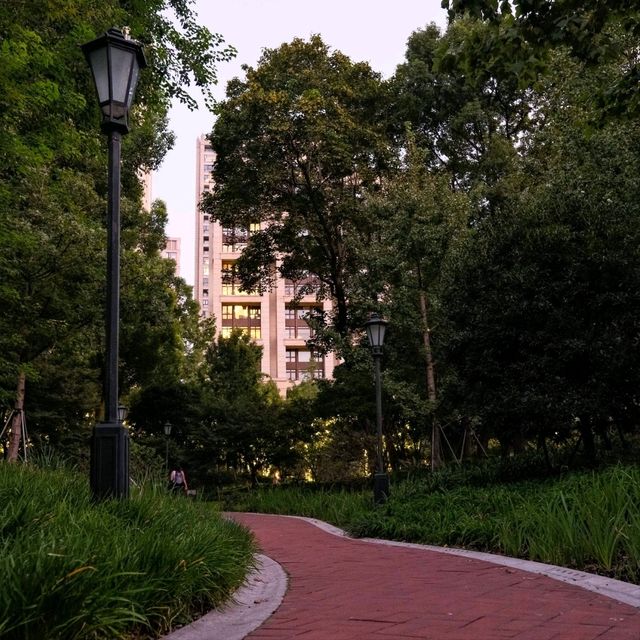 Taipingqiao Park, Shanghai 🌿🏞️ — A Green Escape in the City