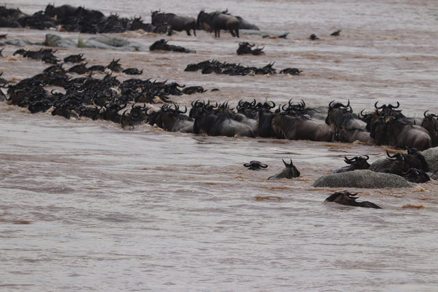 Unforgettable Tanzanian Journey