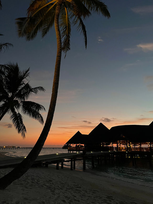 Unforgettable Honeymoon at Gili Lankanfushi