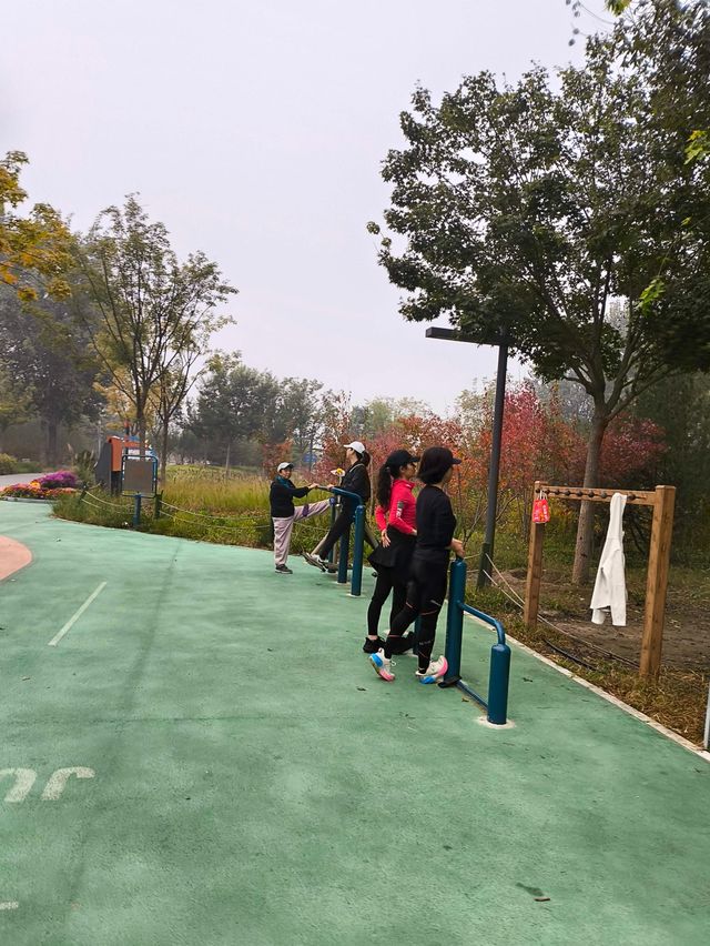 秋風起時,這些地方美成了油畫 秋風起時,這些地方美成了油畫