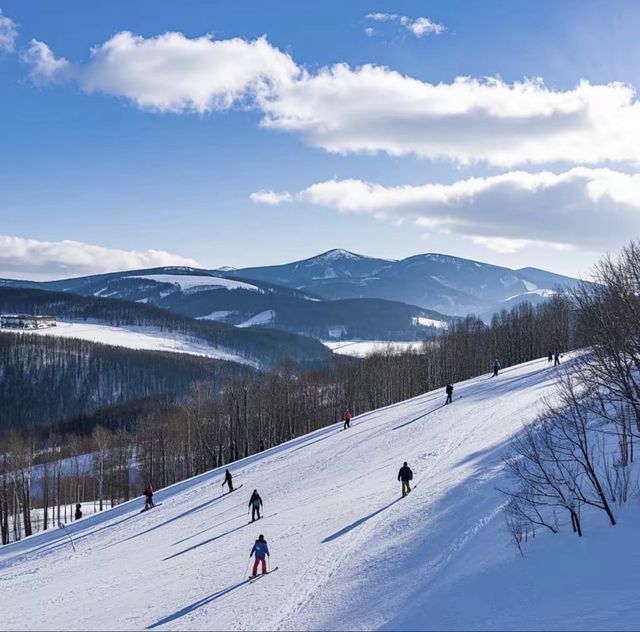 亞布力森系暖居別墅｜滑雪+森氧+輕奢度假的全能選手