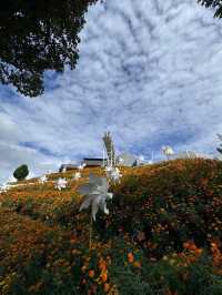 Garden Delights at Flora Park