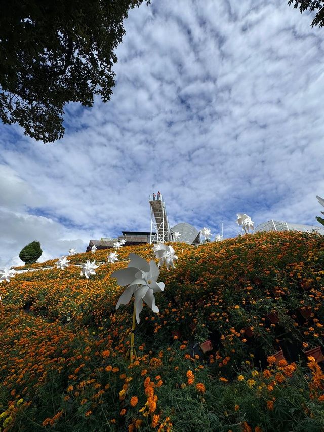 Garden Delights at Flora Park