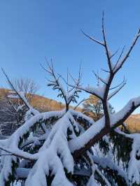 嵩山雪景