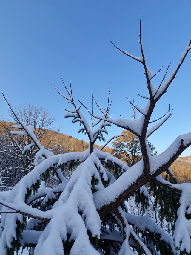 嵩山雪景