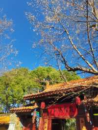 100% Perfect Photo Opportunities by Cuihu Lake in Autumn – Enjoy a Relaxing Off-Peak Stay at Crowne Plaza Kunming City Centre