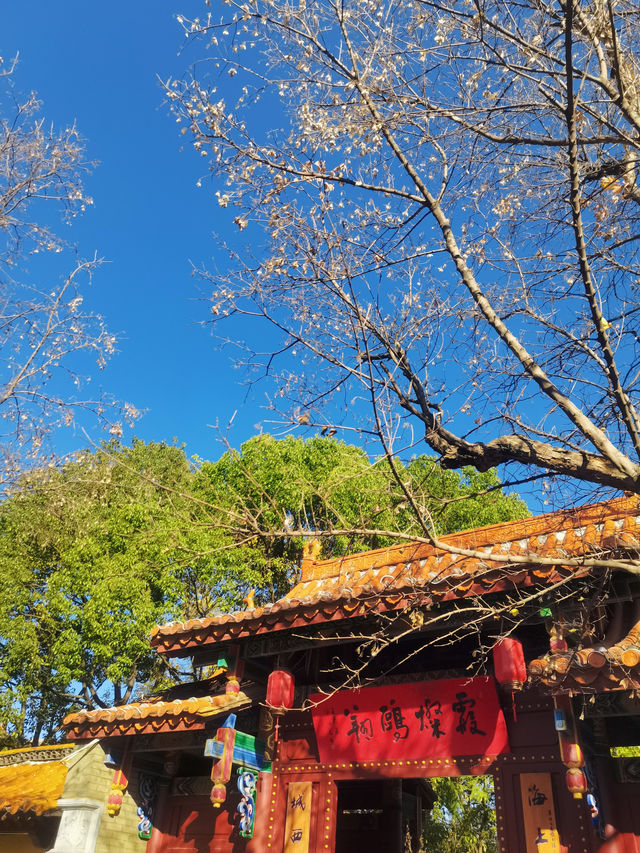 100% Perfect Photo Opportunities by Cuihu Lake in Autumn – Enjoy a Relaxing Off-Peak Stay at Crowne Plaza Kunming City Centre