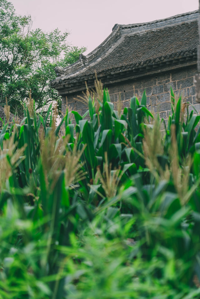 太行山麓的紅色堡壘，石牆彈孔間尋烽火