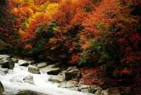 紅葉封神打卡地之四川南江光霧山