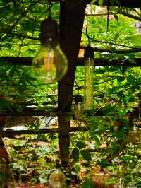 千戶苗寨！這家民宿真的美到失語了！！