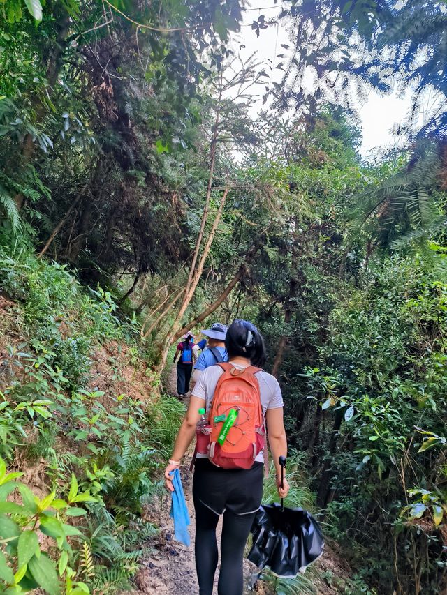 探秘中山 | 中山小九寨長坑水庫 崖口村賞稻田品特色煲仔飯