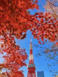 文藝青年的東京暴走指南