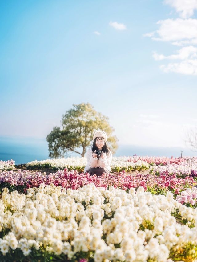 私藏精品|冬日絕美海景小島 私藏精品|冬日絕美海景小島