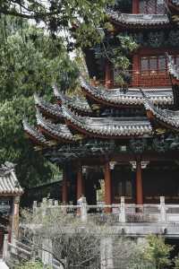 天台四絕,晨鐘暮鼓,深山裡的清幽古剎