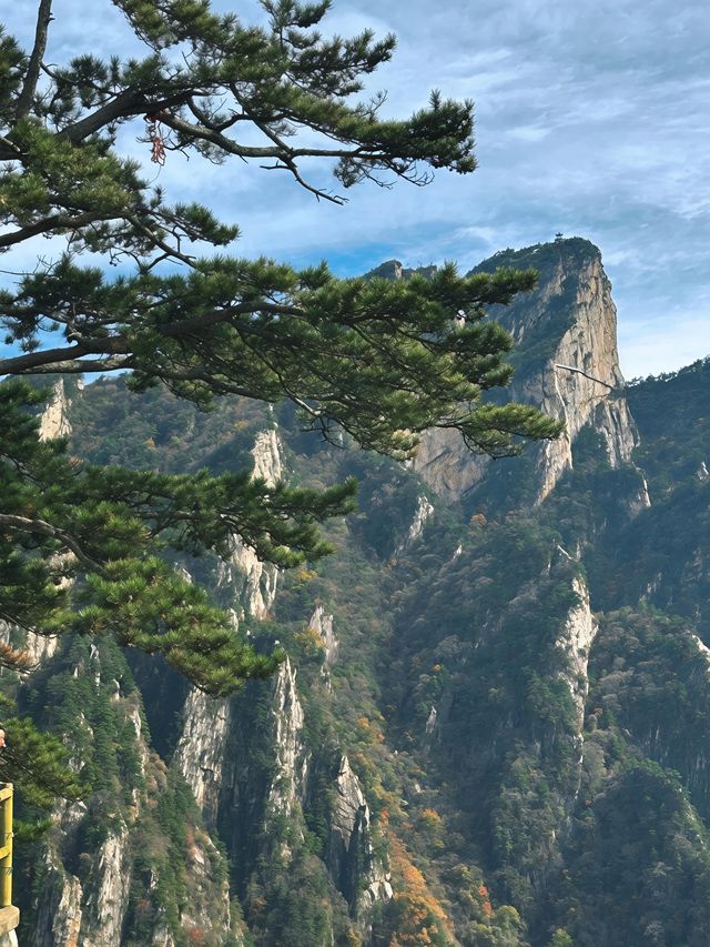 金色秋景醉老界嶺 金色秋景醉老界嶺