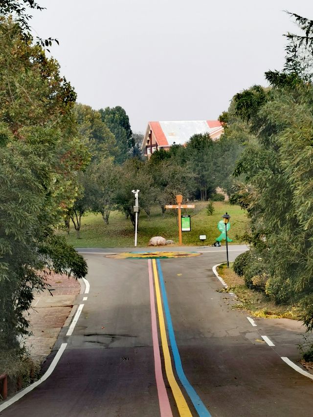 【河南省濮陽市】濮上園景區。