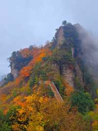 穿越掛壁公路，邂逅秦巴深山最絢爛的秋色