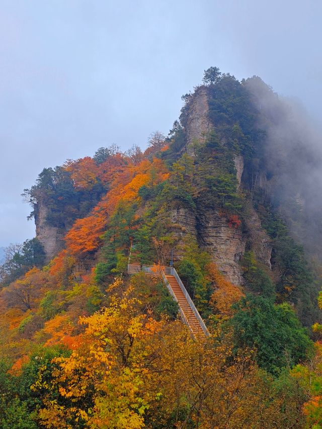 穿越掛壁公路，邂逅秦巴深山最絢爛的秋色