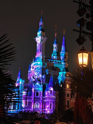 Winter Disney Snowfall Guide