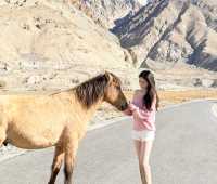 來帕米爾高原洗眼睛!我找到了神仙變色湖