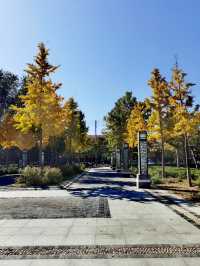 【河南省湯陰縣】城南公園。