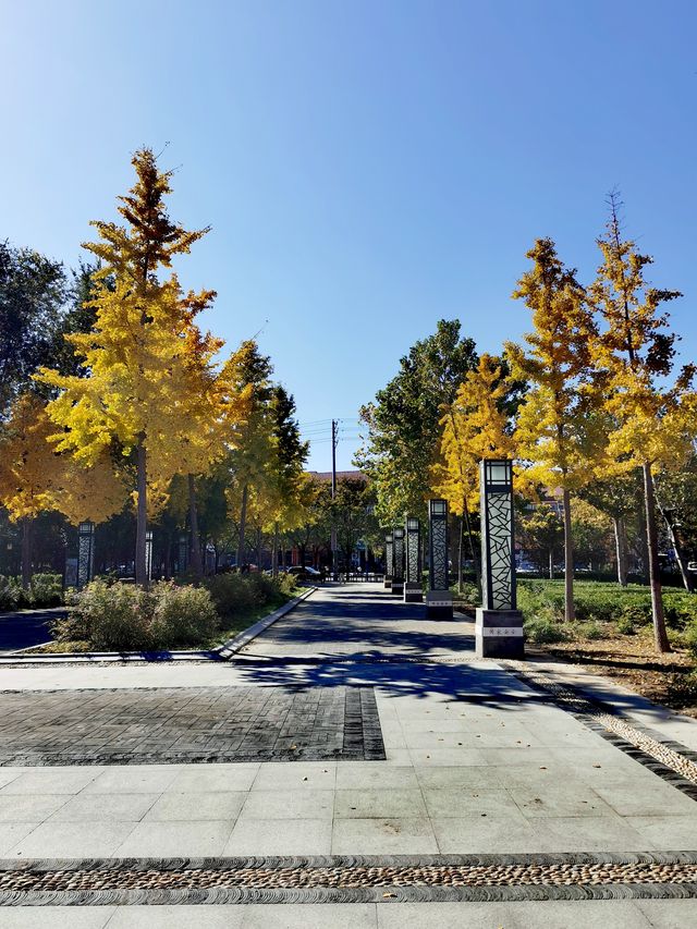 【河南省湯陰縣】城南公園。 【河南省湯陰縣】城南公園。