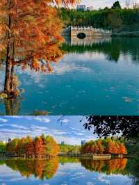 被忽略的小眾寶藏城市,六安秋色秘境