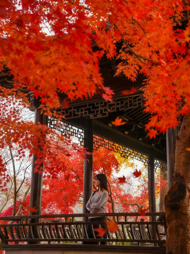 明孝陵2日遊攻略