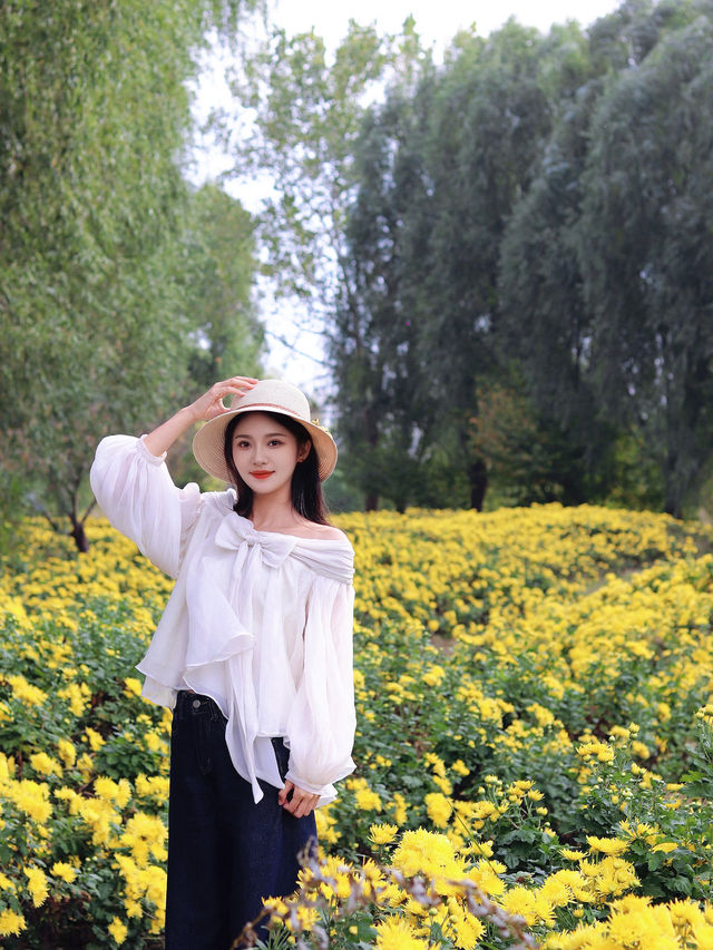 對不起,之前的宿遷洪澤湖攻略都過時了! 對不起,之前的宿遷洪澤湖攻略都過時了!