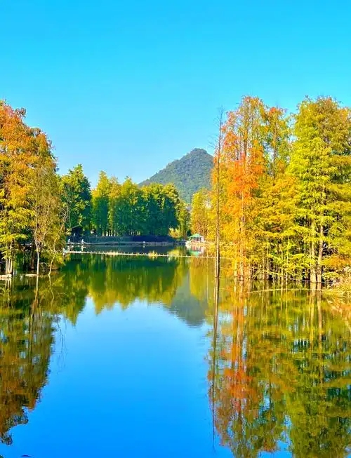 2025 杭州 観光スポット]青山湖水上森林郊野公園の観光ガイド（12月