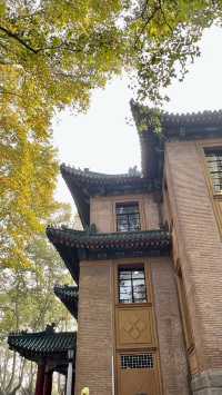 揚州慢~瘦西湖+個園 超出片