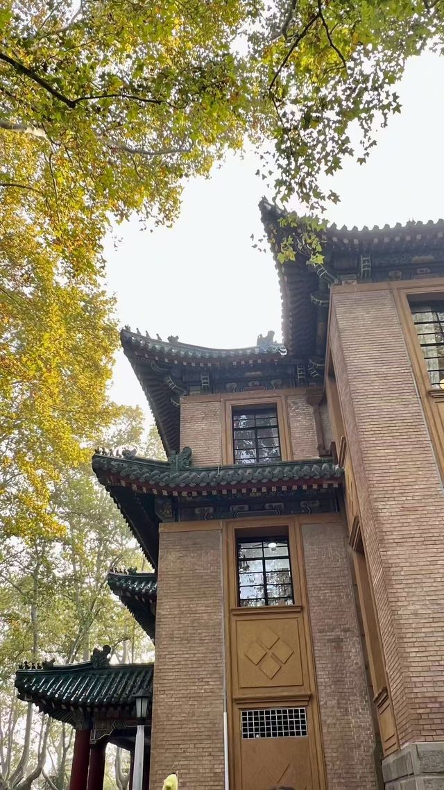 揚州慢~瘦西湖+個園 超出片