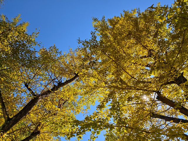 文成安福寺 文成安福寺