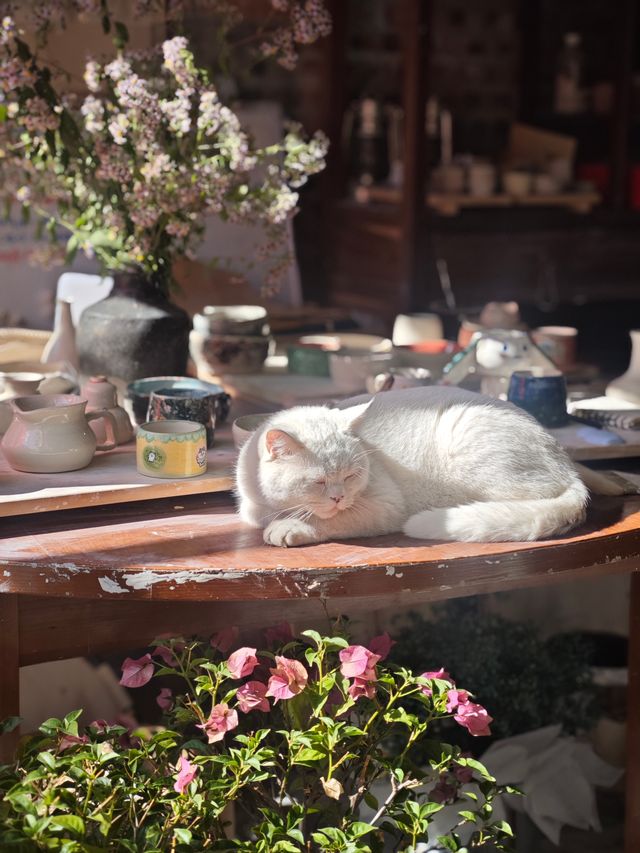 在婺源的冬日裡，遇見一家能曬陽玩陶的治癒民宿｜近弦高古城3公