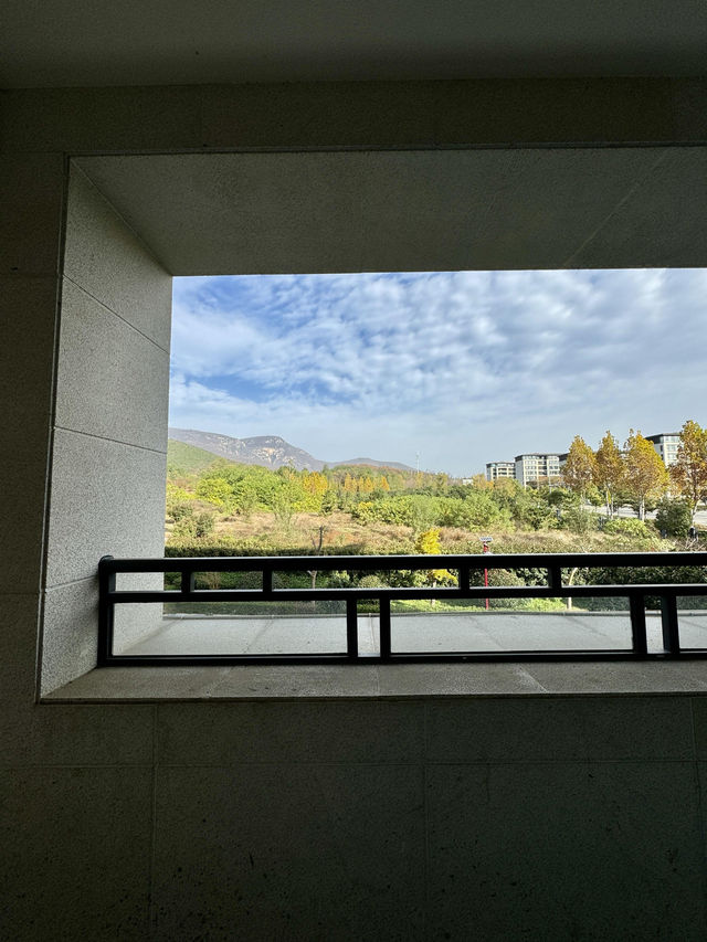 逃離鄭州天花板!登封24小時治癒之旅 逃離鄭州天花板!登封24小時治癒之旅