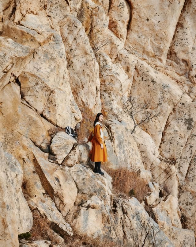 煙台龍口4km徒步封神線!野趣出片雙在線 煙台龍口4km徒步封神線!野趣出片雙在線