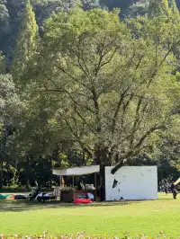 室外遛娃｜諸暨五泄 闖入秋葉世界