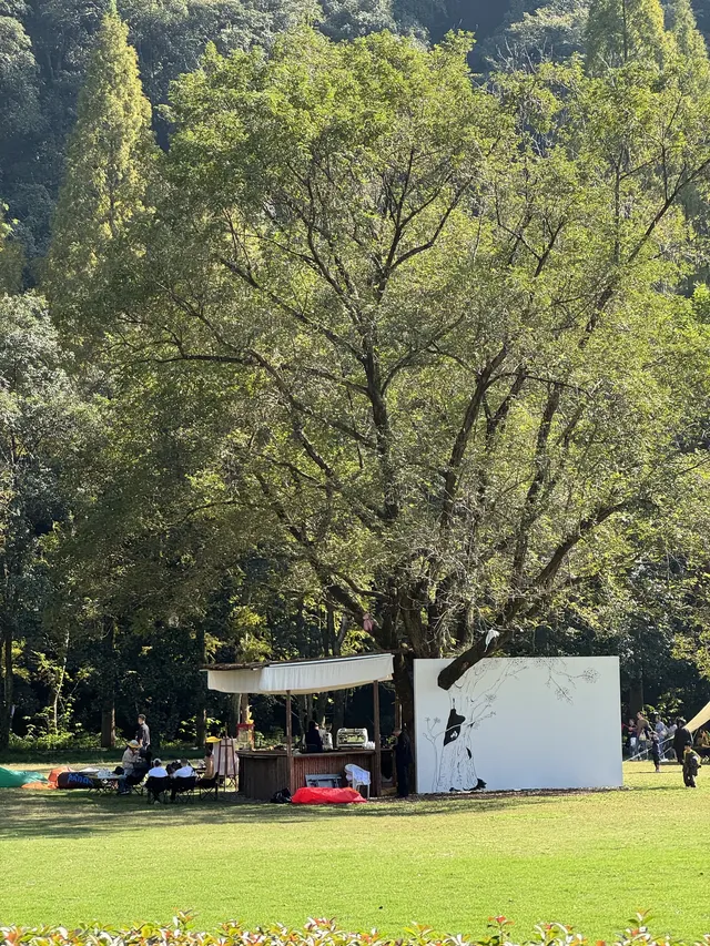 室外遛娃｜諸暨五泄 闖入秋葉世界