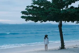 Wuzhizhou Island Nanny-Level Guide: 240 RMB Per Person for Sanya’s Top Trending Island