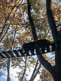 上海野生動物園30歲免費！週末遛娃聖地！